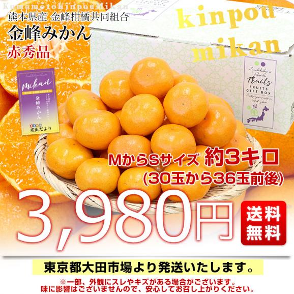 熊本県産 金峰柑橘共同組合 金峰みかん 赤秀品 MからSサイズ 約3キロ(30玉から36玉前後)送料無料 ミカン 蜜柑 きんぽう03
