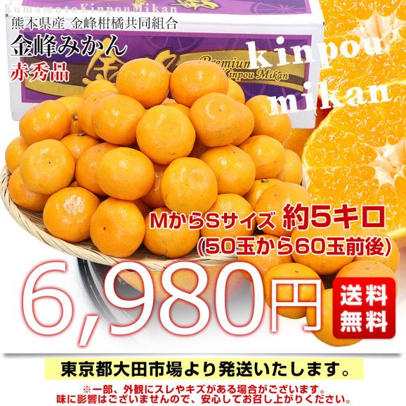 熊本県産 金峰柑橘共同組合 金峰みかん 赤秀品 MからSサイズ 約5キロ(50玉から60玉前後)送料無料 ミカン 蜜柑 きんぽう03