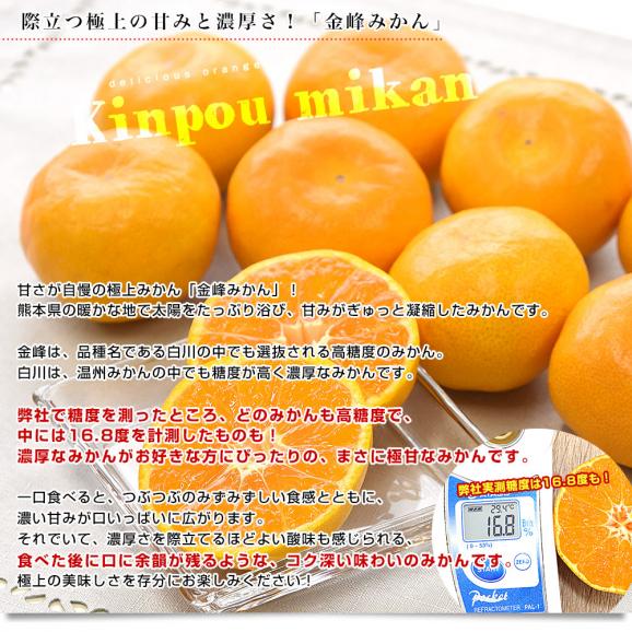 熊本県産 金峰柑橘共同組合 金峰みかん 赤秀品 MからSサイズ 約5キロ(50玉から60玉前後)送料無料 ミカン 蜜柑 きんぽう04