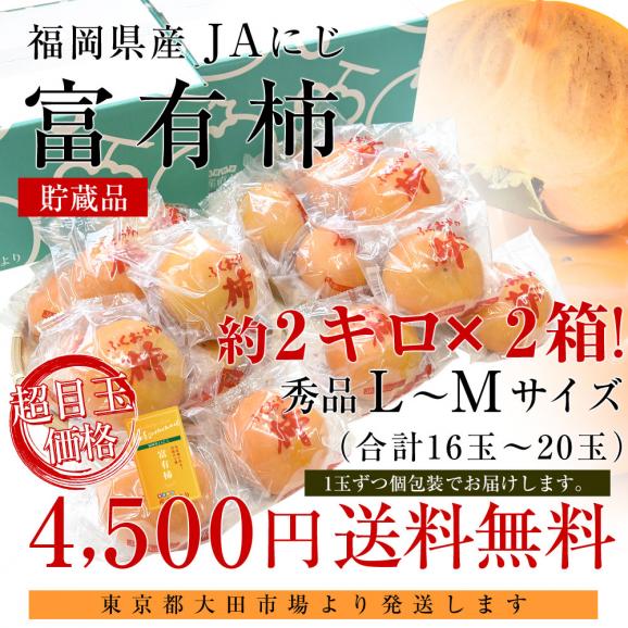 福岡県 JAにじ 富有柿 貯蔵品 秀品 LからMサイズ 約2キロ&times;2箱（合計16玉から20玉） 送料無料 かき カキ 甘柿03