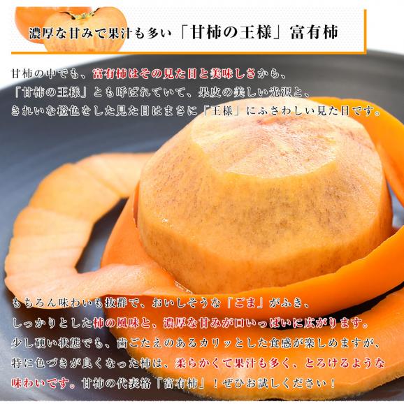 福岡県 JAにじ 富有柿 貯蔵品 秀品 LからMサイズ 約2キロ×2箱(合計16玉から20玉) 送料無料 かき カキ 甘柿04