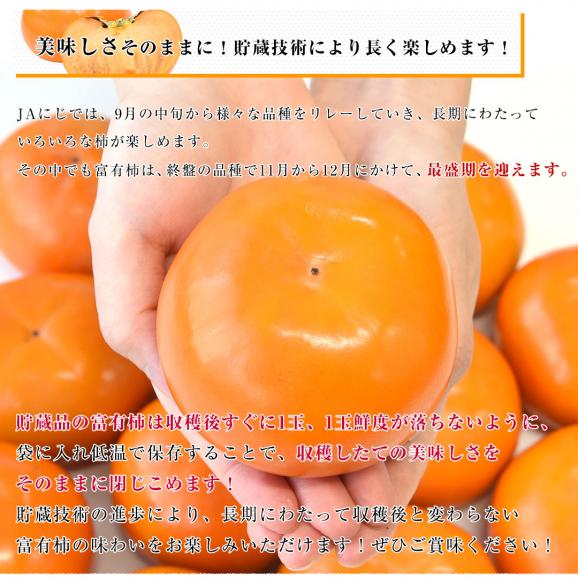 福岡県 JAにじ 富有柿 貯蔵品 秀品 LからMサイズ 約2キロ×2箱(合計16玉から20玉) 送料無料 かき カキ 甘柿05