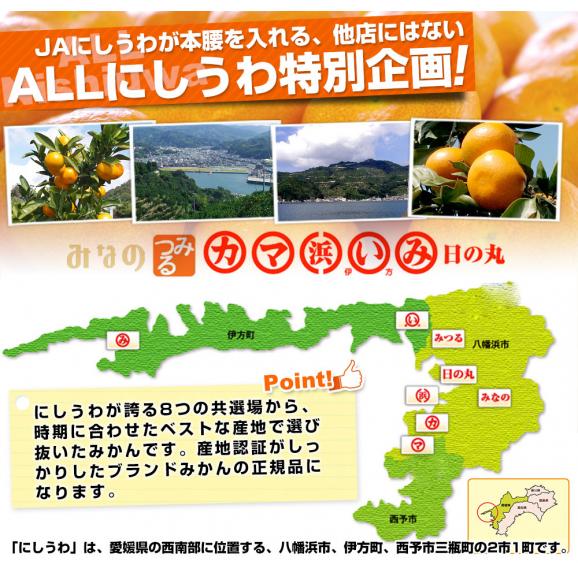 愛媛県産 JAにしうわ 西宇和温州みかん 極旨小玉 2Sサイズ 約2キロ×2箱(合計60玉から72玉前後)送料無料 蜜柑 ミカン04