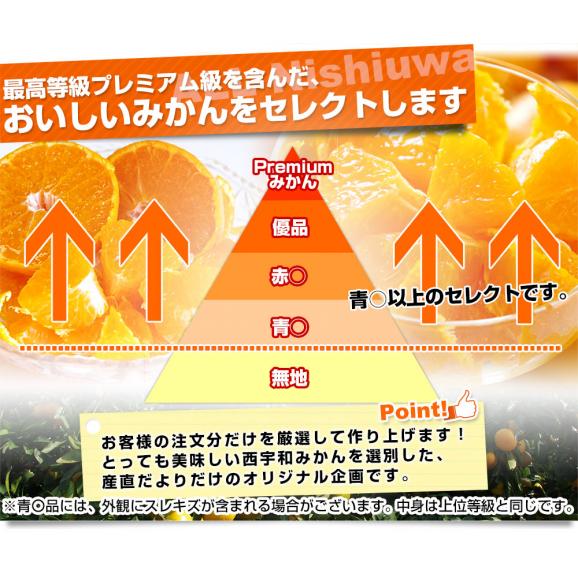 愛媛県産 JAにしうわ 西宇和温州みかん 極旨小玉 2Sサイズ 約2キロ×2箱(合計60玉から72玉前後)送料無料 蜜柑 ミカン06