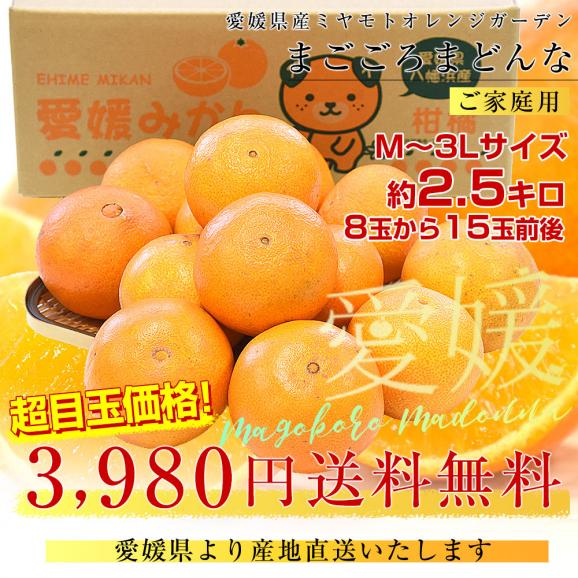 愛媛県より産地直送 まごころまどんな(愛媛果試第28号) ご家庭用 約2.5キロ Mから3Lサイズ(8玉から15玉前後) 送料無料 柑橘03