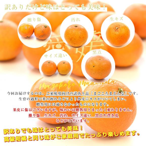 愛媛県より産地直送 まごころまどんな(愛媛果試第28号) ご家庭用 約2.5キロ Mから3Lサイズ(8玉から15玉前後) 送料無料 柑橘05
