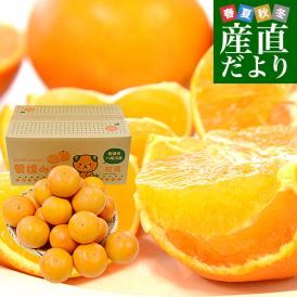 愛媛県より産地直送 まごころまどんな（愛媛果試第28号） ご家庭用 約5キロ Mから3Lサイズ（16玉から30玉前後） 送料無料 柑橘