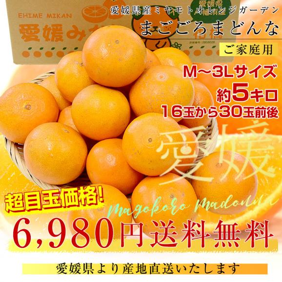 愛媛県より産地直送 まごころまどんな(愛媛果試第28号) ご家庭用 約5キロ Mから3Lサイズ(16玉から30玉前後) 送料無料 柑橘03