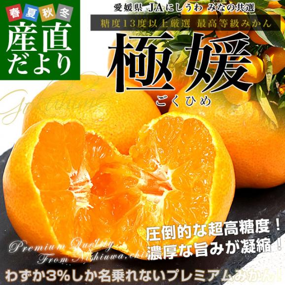 愛媛県 JAにしうわ みなの共選 最上位等級みかん「極媛(ごくひめ)」約5キロ LからSサイズ (40玉から60玉前後) 送料無料 みかん プレミアムみかん02
