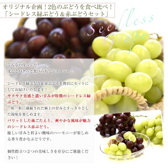 種なし皮ごと食べられる！シードレス緑ぶどう＆赤ぶどうセット ペルー産 約1.2キロ（約600g&times;2入）送料無料 種なしぶどう 輸入ぶどう 海外ぶどう04