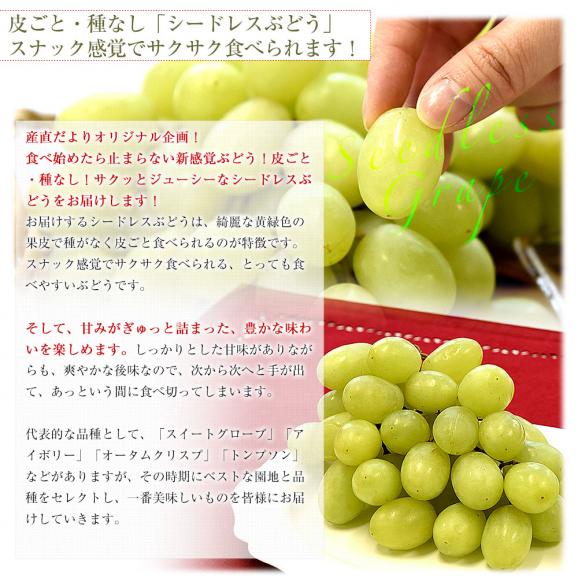 種なし皮ごと食べられる！シードレス緑ぶどう＆赤ぶどうセット ペルー産 約1.2キロ（約600g&times;2入）送料無料 種なしぶどう 輸入ぶどう 海外ぶどう05