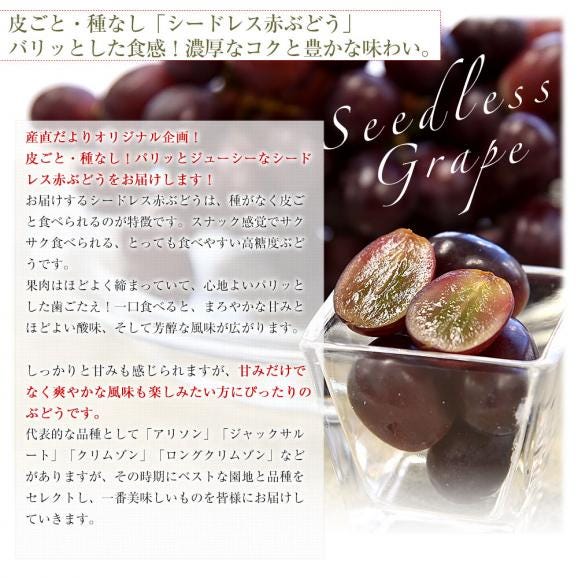 種なし皮ごと食べられる！シードレス緑ぶどう＆赤ぶどうセット ペルー産 約1.2キロ（約600g&times;2入）送料無料 種なしぶどう 輸入ぶどう 海外ぶどう06
