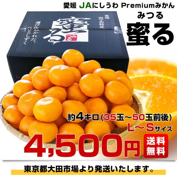 愛媛県産 JAにしうわ みつる共選 プレミアム西宇和みかん 蜜る(みつる) LからSサイズ 約4キロ(35玉から50玉前後) 送料無料 にしうわ 蜜柑 ミカン03