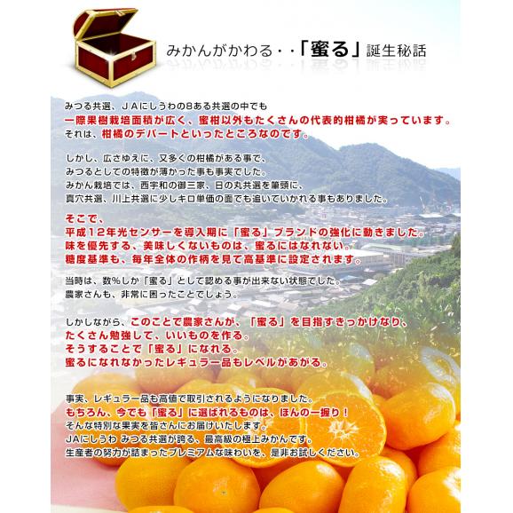 愛媛県産 JAにしうわ みつる共選 プレミアム西宇和みかん 蜜る(みつる) LからSサイズ 約4キロ(35玉から50玉前後) 送料無料 にしうわ 蜜柑 ミカン04