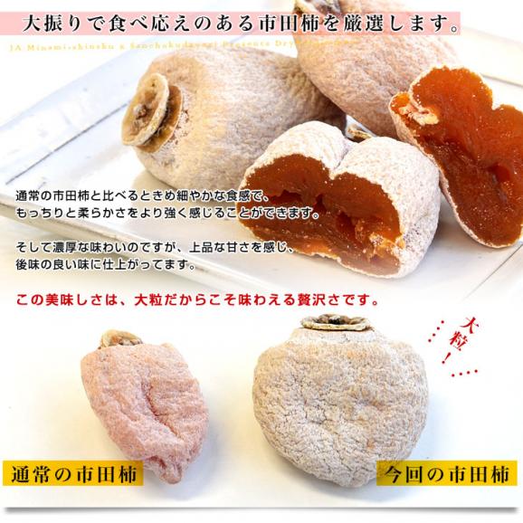 長野県産 JAみなみ信州 市田柿 (干し柿) 340g化粧箱（8粒入り） 送料無料 あんぽ ころがき 干し柿04