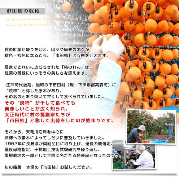 長野県産 JAみなみ信州 市田柿 (干し柿) 340g化粧箱（8粒入り） 送料無料 あんぽ ころがき 干し柿06