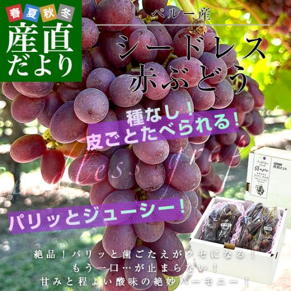 皮ごと食べられる！シードレス赤ぶどう ペルー産 約1.2キロ（約600g&times;2入）送料無料 種なしぶどう 輸入ぶどう 海外ぶどう02