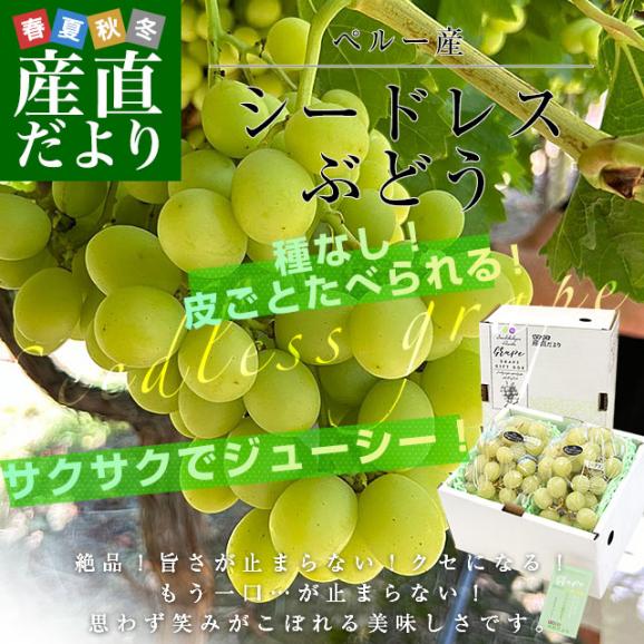 皮ごと食べられる!シードレス緑ぶどう ペルー産 約1.2キロ(約600g×2入)送料無料 種なしぶどう 輸入ぶどう 海外ぶどう02