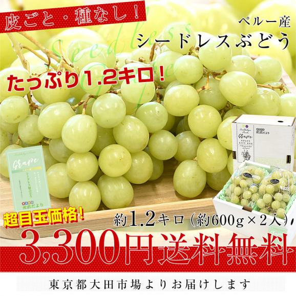 皮ごと食べられる!シードレス緑ぶどう ペルー産 約1.2キロ(約600g×2入)送料無料 種なしぶどう 輸入ぶどう 海外ぶどう03