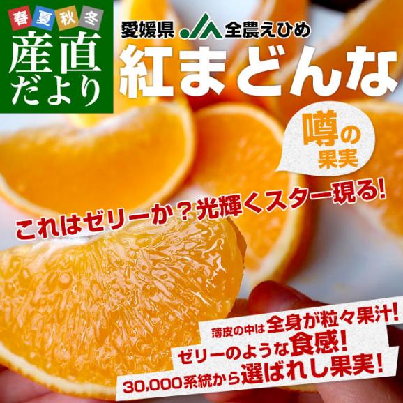 愛媛県産JA全農えひめ 紅まどんな3LからMサイズ 5キロ(17玉から35玉前後) オレンジ おれんじ 送料無料02
