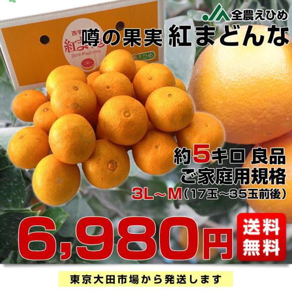 愛媛県産JA全農えひめ 紅まどんな3LからMサイズ 5キロ(17玉から35玉前後) オレンジ おれんじ 送料無料03