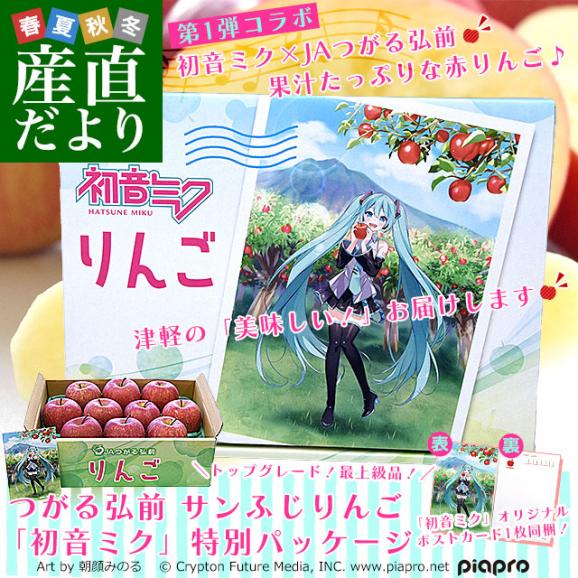 青森県より産地直送 JAつがる弘前 サンふじ 最上級品 初音ミクコラボ限定化粧箱 約3kg(9から10玉入り) 赤りんご リンゴ 送料無料02