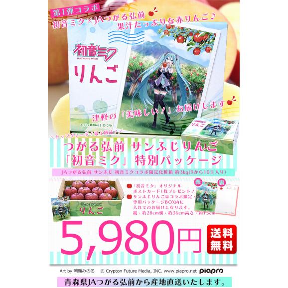 青森県より産地直送 JAつがる弘前 サンふじ 最上級品 初音ミクコラボ限定化粧箱 約3kg(9から10玉入り) 赤りんご リンゴ 送料無料03