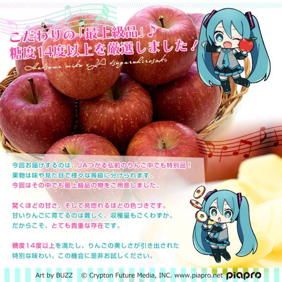 青森県より産地直送 JAつがる弘前 サンふじ 最上級品 初音ミクコラボ限定化粧箱 約3kg(9から10玉入り) 赤りんご リンゴ 送料無料04