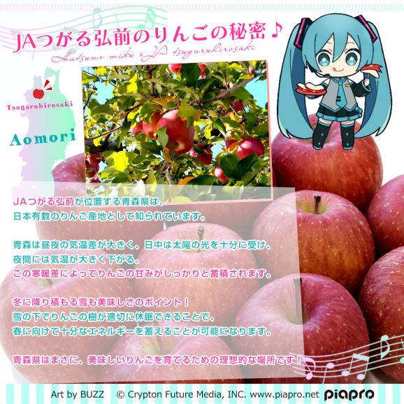 青森県より産地直送 JAつがる弘前 サンふじ 最上級品 初音ミクコラボ限定化粧箱 約3kg(9から10玉入り) 赤りんご リンゴ 送料無料05