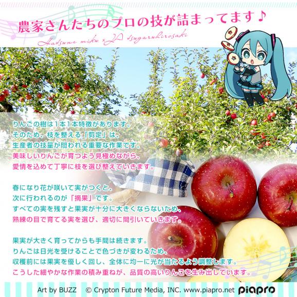 青森県より産地直送 JAつがる弘前 サンふじ 最上級品 初音ミクコラボ限定化粧箱 約3kg(9から10玉入り) 赤りんご リンゴ 送料無料06