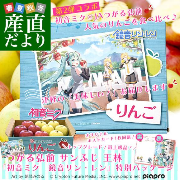 青森県より産地直送　JAつがる弘前 サンふじ 王林 最上級品 初音ミク 鏡音リン 鏡音レン コラボ限定化粧箱 約3kg(9から10玉入り) 赤りんご 青りんご 送料無料02