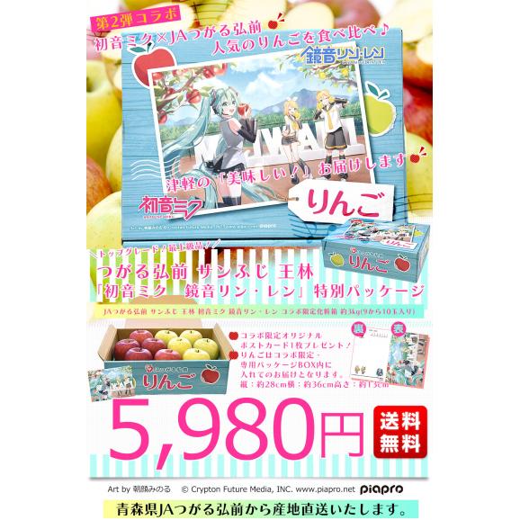 青森県より産地直送　JAつがる弘前 サンふじ 王林 最上級品 初音ミク 鏡音リン 鏡音レン コラボ限定化粧箱 約3kg(9から10玉入り) 赤りんご 青りんご 送料無料03