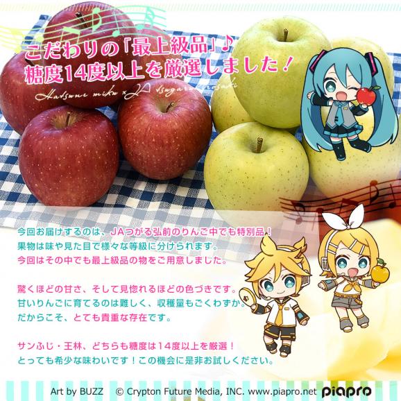 青森県より産地直送　JAつがる弘前 サンふじ 王林 最上級品 初音ミク 鏡音リン 鏡音レン コラボ限定化粧箱 約3kg(9から10玉入り) 赤りんご 青りんご 送料無料04
