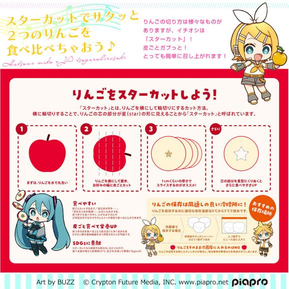 青森県より産地直送　JAつがる弘前 サンふじ 王林 最上級品 初音ミク 鏡音リン 鏡音レン コラボ限定化粧箱 約3kg(9から10玉入り) 赤りんご 青りんご 送料無料06