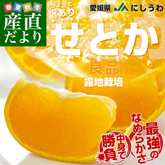 【2026年発送】愛媛県 JAにしうわ せとか 露地栽培 良品 ちょっと訳あり 約2.5キロ 3LからLサイズ (8玉から13玉) 送料無料 セトカ 西宇和02