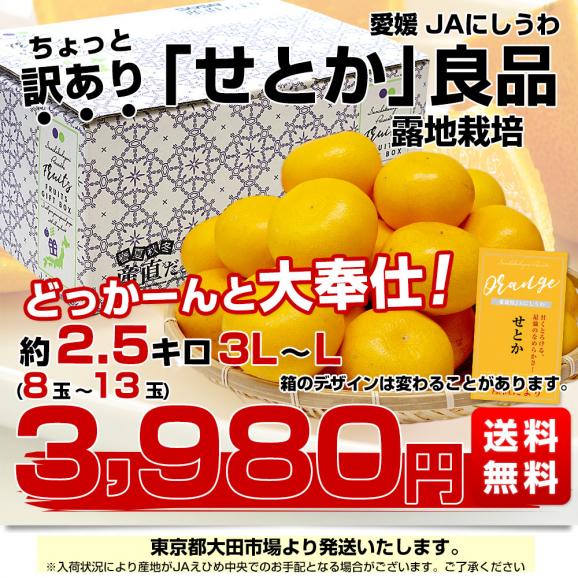 【2026年発送】愛媛県 JAにしうわ せとか 露地栽培 良品 ちょっと訳あり 約2.5キロ 3LからLサイズ (8玉から13玉) 送料無料 セトカ 西宇和03