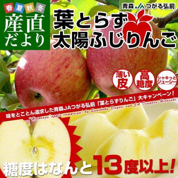 【新年特売価格】青森県産 JAつがる弘前 葉とらず太陽ふじりんご 3キロ(8玉から13玉) 糖度13度以上 林檎 リンゴ 送料無料02