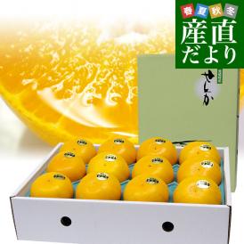 愛媛県 JAにしうわ せとか 露地栽培 秀品 3Lから2Lサイズ 3キロ化粧箱（10玉から12玉）送料無料 セトカ 西宇和