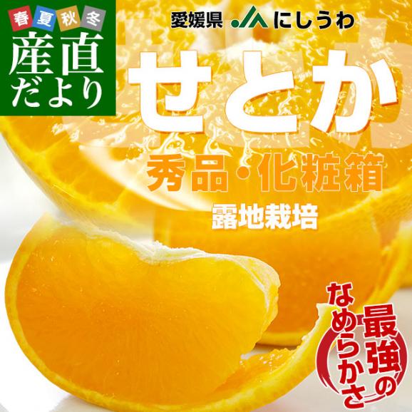 愛媛県 JAにしうわ せとか 露地栽培 秀品 3Lから2Lサイズ 3キロ化粧箱（10玉から12玉）送料無料 セトカ 西宇和02