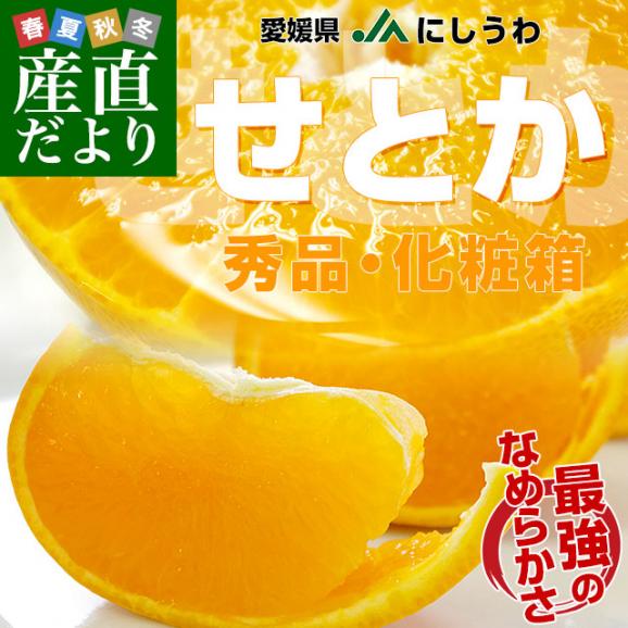 愛媛県より産地直送 JAにしうわ せとか 秀品 3Lから2Lサイズ 3キロ化粧箱(10玉から12玉)送料無料 セトカ 西宇和02
