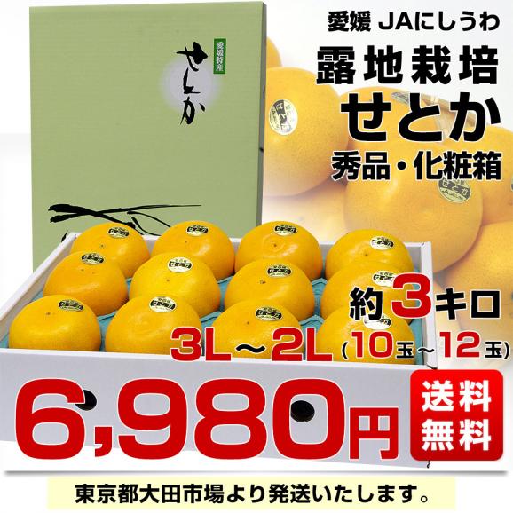 愛媛県 JAにしうわ せとか 露地栽培 秀品 3Lから2Lサイズ 3キロ化粧箱（10玉から12玉）送料無料 セトカ 西宇和03