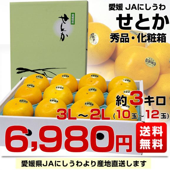 愛媛県より産地直送 JAにしうわ せとか 秀品 3Lから2Lサイズ 3キロ化粧箱(10玉から12玉)送料無料 セトカ 西宇和03