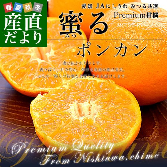 愛媛県産 JAにしうわ みつる共選 蜜る(みつる) ポンカン 2LからLサイズ 約3キロ(16玉から24玉前後) 送料無料 にしうわ ぽんかん 柑橘02
