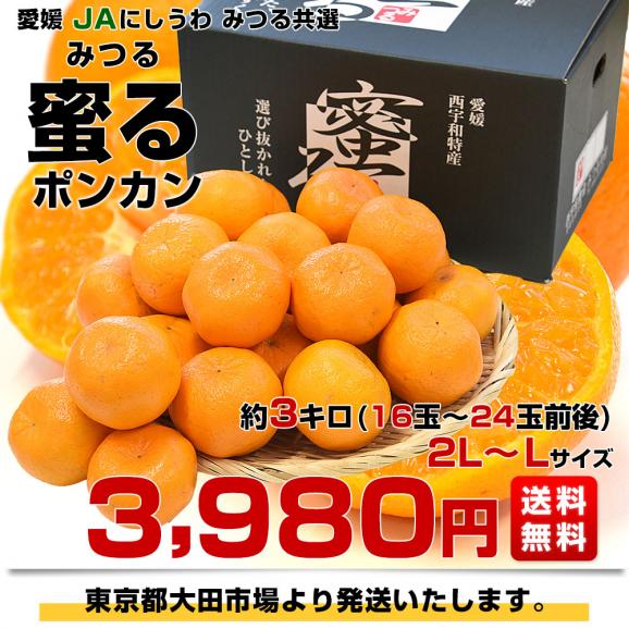 愛媛県産 JAにしうわ みつる共選 蜜る(みつる) ポンカン 2LからLサイズ 約3キロ(16玉から24玉前後) 送料無料 にしうわ ぽんかん 柑橘03