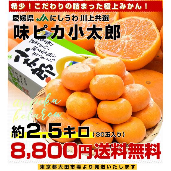 愛媛県産 JAにしうわ 川上共選 味ピカ小太郎 2.5キロ化粧箱(30個入り) 送料無料 味ピカ みかん 西宇和03