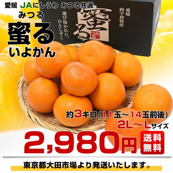 愛媛県産 JAにしうわ みつる共選 プレミアムいよかん 蜜る（みつる） 2LからLサイズ 約3キロ（11玉から14玉前後） 送料無料 にしうわ 西宇和 伊予柑03