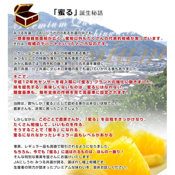 愛媛県産 JAにしうわ みつる共選 プレミアムいよかん 蜜る（みつる） 2LからLサイズ 約3キロ（11玉から14玉前後） 送料無料 にしうわ 西宇和 伊予柑04