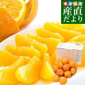 愛媛県産 JAにしうわ みつる共選 いよかん ご家庭用 2LからLサイズ 約4キロ(14玉から18玉前後) 送料無料 にしうわ 西宇和 伊予柑