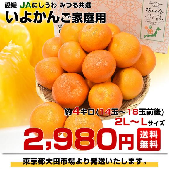 愛媛県産 JAにしうわ みつる共選 いよかん ご家庭用 2LからLサイズ 約4キロ(14玉から18玉前後) 送料無料 にしうわ 西宇和 伊予柑03