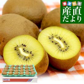 香川県より産地直送 JA香川県 さぬきエメラルド 約2.8キロ(20から24玉前後) 国産キウイフルーツ 送料無料 きうい キウイフルーツ